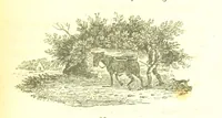 An illustration from Poems; chiefly in the Scottish dialect, etc (1809)