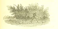 An illustration from Poems; chiefly in the Scottish dialect, etc (1809)