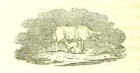 An illustration from Poems; chiefly in the Scottish dialect, etc (1809)