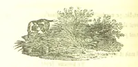 An illustration from Poems; chiefly in the Scottish dialect, etc (1809)