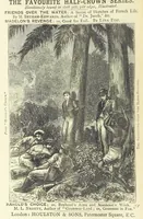 Picture 9 of 10 from The Vicar of Redcross; or, Till Death us do Part (1888), leaf 330