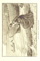 An illustration from Under False Colours ... New edition (1894)