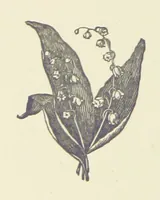 Picture 3 of 7 from Aniwee; or, the Warrior Queen. A tale, etc (1890), leaf 42