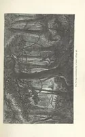An illustration from Among the Zulus; the adventures of Hans Sterk ... With illustrations by J. B. Zwecker. New ... edition. Third thousand (1879)