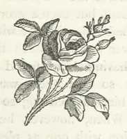An illustration from Among the Zulus; the adventures of Hans Sterk ... With illustrations by J. B. Zwecker. New ... edition. Third thousand (1879)