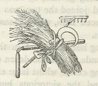 An illustration from Among the Zulus; the adventures of Hans Sterk ... With illustrations by J. B. Zwecker. New ... edition. Third thousand (1879)
