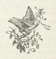 An illustration from Among the Zulus; the adventures of Hans Sterk ... With illustrations by J. B. Zwecker. New ... edition. Third thousand (1879)
