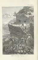 An illustration from Among the Zulus; the adventures of Hans Sterk ... With illustrations by J. B. Zwecker. New ... edition. Third thousand (1879)