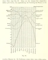 An illustration from Lehrbuch der Geographie. Mit zahlreichen Figuren und Karten. Heft. 1 (1886)