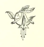An illustration from In the Enemy's Country; or, the Raven of Steinbrück. A story of 1813, etc (1891)