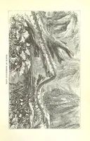 An illustration from Wild Life under the Equator. Narrated for young people, etc (1869)