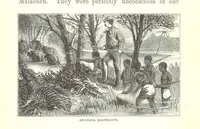An illustration from Wild Life under the Equator. Narrated for young people, etc (1869)