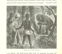 Picture 31 of 40 from Wild Life under the Equator. Narrated for young people, etc (1869), leaf 179