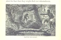 Picture 37 of 40 from Wild Life under the Equator. Narrated for young people, etc (1869), leaf 212