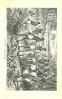 Picture 40 of 40 from Wild Life under the Equator. Narrated for young people, etc (1869), leaf 233