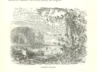 Picture 3 of 40 from Wild Life under the Equator. Narrated for young people, etc (1869), leaf 27