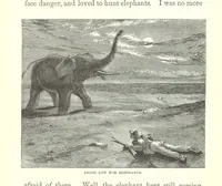 An illustration from Wild Life under the Equator. Narrated for young people, etc (1869)