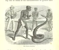 Picture 7 of 40 from Wild Life under the Equator. Narrated for young people, etc (1869), leaf 47