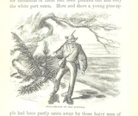 Picture 15 of 40 from Wild Life under the Equator. Narrated for young people, etc (1869), leaf 82