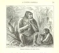 An illustration from Wild Life under the Equator. Narrated for young people, etc (1869)