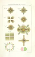 An illustration from Traité de Minéralogie (1855)