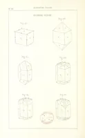 Picture 111 of 259 from Traité de Minéralogie (1855), leaf 160