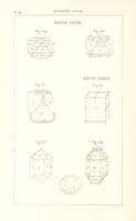 Picture 113 of 259 from Traité de Minéralogie (1855), leaf 162