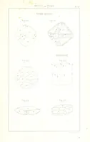 Picture 120 of 259 from Traité de Minéralogie (1855), leaf 169