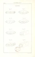 Picture 121 of 259 from Traité de Minéralogie (1855), leaf 170