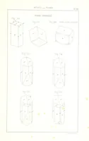 Picture 132 of 259 from Traité de Minéralogie (1855), leaf 181