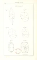 Picture 133 of 259 from Traité de Minéralogie (1855), leaf 182