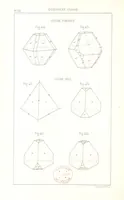 Picture 145 of 259 from Traité de Minéralogie (1855), leaf 194