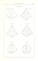 Picture 146 of 259 from Traité de Minéralogie (1855), leaf 195