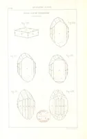 Picture 161 of 259 from Traité de Minéralogie (1855), leaf 210