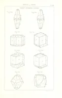 Picture 164 of 259 from Traité de Minéralogie (1855), leaf 213