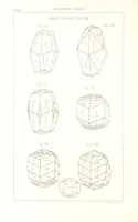 Picture 165 of 259 from Traité de Minéralogie (1855), leaf 214