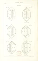 Picture 183 of 259 from Traité de Minéralogie (1855), leaf 232