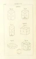 Picture 205 of 259 from Traité de Minéralogie (1855), leaf 254