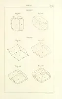 Picture 206 of 259 from Traité de Minéralogie (1855), leaf 255