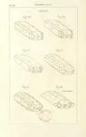 Picture 213 of 259 from Traité de Minéralogie (1855), leaf 262