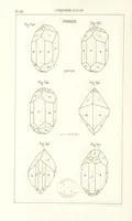 Picture 225 of 259 from Traité de Minéralogie (1855), leaf 274