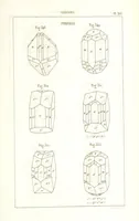 An illustration from Traité de Minéralogie (1855)