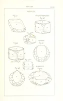 Picture 236 of 259 from Traité de Minéralogie (1855), leaf 285