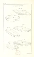 Picture 253 of 259 from Traité de Minéralogie (1855), leaf 302