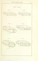 Picture 38 of 259 from Traité de Minéralogie (1855), leaf 87