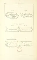 Picture 39 of 259 from Traité de Minéralogie (1855), leaf 88