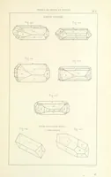 Picture 40 of 259 from Traité de Minéralogie (1855), leaf 89