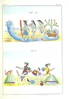 An illustration from Historia de las Indias de Nueva-España y islas de Tierra Firme ... La publica con un atlas, notas, y ilustraciones J. F. Ramirez, etc (1867)