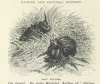 Picture 2 of 10 from Haunted Rooms. A tale. By A. L. O. E. [i.e. Miss C. Tucker (1876), leaf 348
