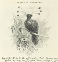 Picture 8 of 10 from Haunted Rooms. A tale. By A. L. O. E. [i.e. Miss C. Tucker (1876), leaf 354